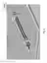 Fig. 05 - LED lighting system with distributive powering scheme