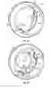 Fig. 17 - Portable lighting device