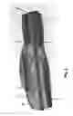 Fig. 07 - Crossbow case including ethylene-vinyl acetate