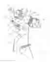 Fig. 09 - Weapon stabilizing device and method