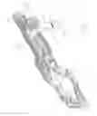 Fig. 12 - Weapon stabilizing device and method