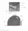 Fig. 05 - Driver's hatch
