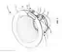 Fig. 02 - Light fixture with integrated sensor