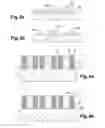 Fig. 05 - Method for manufacturing a substrate for surface-enhanced Raman spectography
