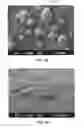 Fig. 07 - Electrical devices with enhanced electrochemical activity and manufacturing methods thereof