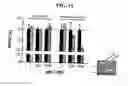 Fig. 18 - Fluorescent molecular rotors
