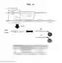 Fig. 22 - Fluorescent molecular rotors