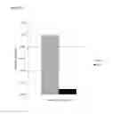 Fig. 06 - Analyte detection