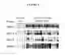 Fig. 05 - BORRELIA DIAGNOSTICS AND SCREENING METHODS