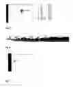 Fig. 07 - Method for the detection of H. pylori infection