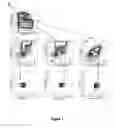 Fig. 02 - Methods and kits for determining tuberculosis infection status