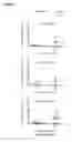 Fig. 13 - Methods and kits for determining tuberculosis infection status