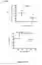 Fig. 19 - Methods and kits for determining tuberculosis infection status