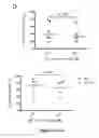 Fig. 21 - Methods and kits for determining tuberculosis infection status