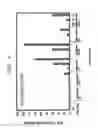 Fig. 04 - METHOD FOR ANALYSIS OF NKT CELL FUNCTION