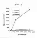 Fig. 06 - METHOD FOR ANALYSIS OF NKT CELL FUNCTION
