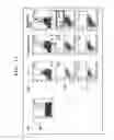 Fig. 12 - METHOD FOR ANALYSIS OF NKT CELL FUNCTION