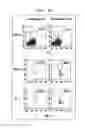 Fig. 14 - METHOD FOR ANALYSIS OF NKT CELL FUNCTION