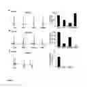Fig. 03 - Correlation of disease activity with clonal expansions of human papillomavirus 16-specific CD8+ T-cells in patients with severe erosive oral lichen planus