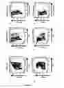 Fig. 08 - Correlation of disease activity with clonal expansions of human papillomavirus 16-specific CD8+ T-cells in patients with severe erosive oral lichen planus