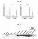 Fig. 07 - METHOD FOR SCREENING EMT INHIBITOR