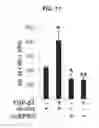 Fig. 11 - METHOD FOR SCREENING EMT INHIBITOR