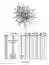 Fig. 12 - Materials and Methods Relating to Pancreatic Cancer