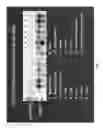 Fig. 03 - COMPOSITIONS AND METHODS FOR DETECTING, DIAGNOSING, AND TREATING CANCER