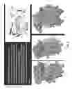 Fig. 09 - COMPOSITIONS AND METHODS FOR DETECTING, DIAGNOSING, AND TREATING CANCER