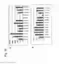 Fig. 19 - Identification of tumor-associated cell surface antigens for diagnosis and therapy