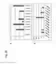 Fig. 30 - Identification of tumor-associated cell surface antigens for diagnosis and therapy