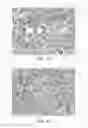Fig. 08 - Molecular Conjugate