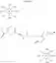 Fig. 20 - Molecular Conjugate