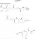 Fig. 25 - Molecular Conjugate