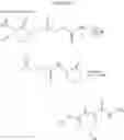 Fig. 28 - Molecular Conjugate