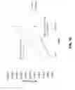 Fig. 03 - METABOLISM OF SOD1 IN CSF