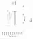 Fig. 04 - METABOLISM OF SOD1 IN CSF