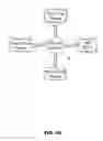 Fig. 12 - METABOLISM OF SOD1 IN CSF