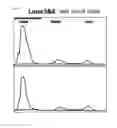 Fig. 06 - METHOD FOR EVALUATING SALIVARY ADIPONECTIN LEVEL AND KIT FOR MEASURING SALIVARY ADIPONECTIN LEVEL
