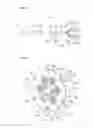 Fig. 18 - Specimen analyzing method and specimen analyzing apparatus