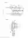 Fig. 19 - Specimen analyzing method and specimen analyzing apparatus