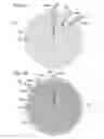 Fig. 09 - High voltage chuck for a probe station
