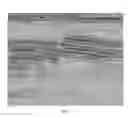 Fig. 06 - Data-driven, interpreter guided visual enhancement of geologic features in 3D seismic survey data