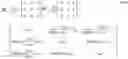Fig. 25 - Full tensor gain compensated propagation measurements