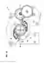 Fig. 14 - Optical fiber clamping assembly having a plurality of cable clamp arms