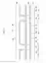 Fig. 10 - LIQUID CRYSTAL DISPLAY AND METHOD OF MANUFACTURING THE SAME