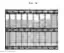 Fig. 17 - LIQUID CRYSTAL DISPLAY AND METHOD OF MANUFACTURING THE SAME