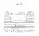 Fig. 17 - Display device and method of manufacturing the same