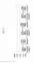 Fig. 04 - Photo-alignment layer and liquid crystal display