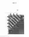 Fig. 09 - Liquid crystal display device comprising a pixel electrode having a gap disposed between a fine branch portion and an outer portion of the pixel electrode